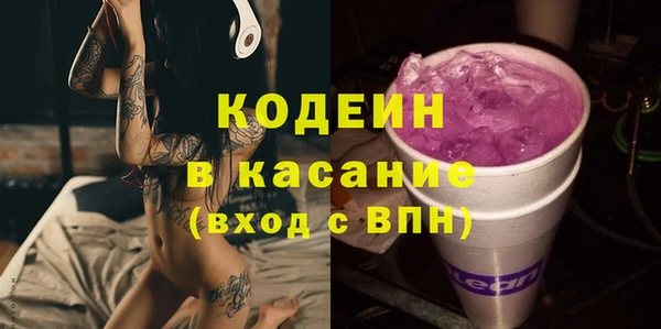 сатива Няндома