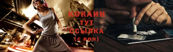 мдпв Новозыбков