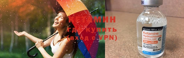 сатива Няндома