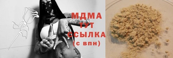 мдпв Новозыбков