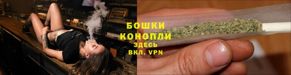 мдпв Новозыбков