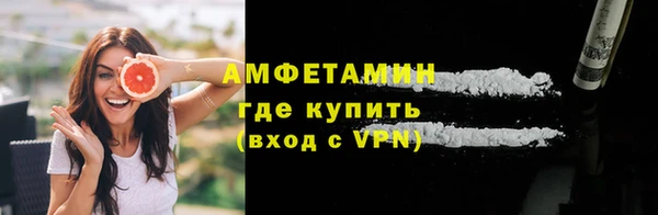 мдпв Новозыбков