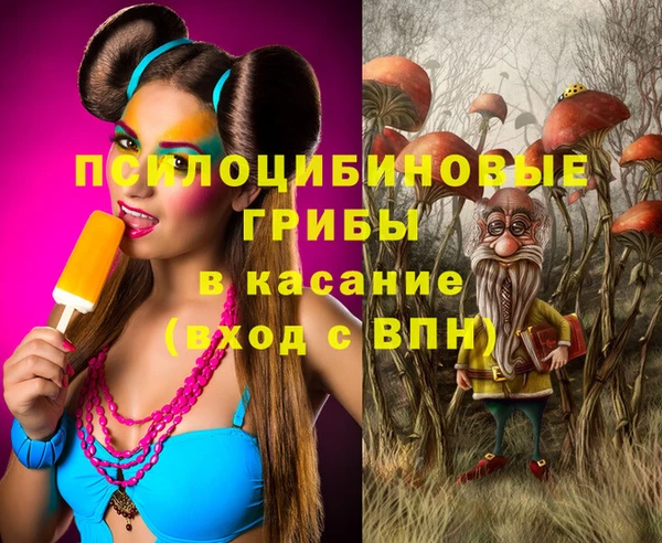 сатива Няндома