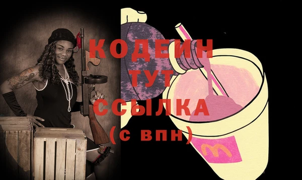 мдпв Новозыбков