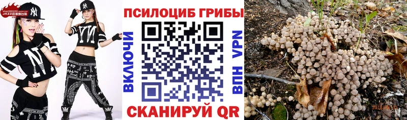 Псилоцибиновые грибы Magic Shrooms  Сертолово 