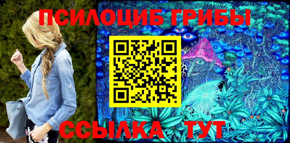 Псилоцибиновые грибы Psilocybine cubensis  Галлюциногенные грибы прущие грибы  Сертолово 