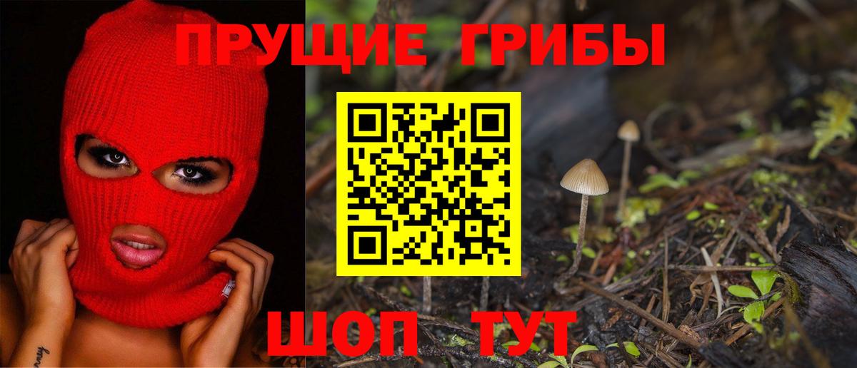 Псилоцибиновые грибы мухоморы  магазин  наркотиков  Сертолово  Вход с VPN 