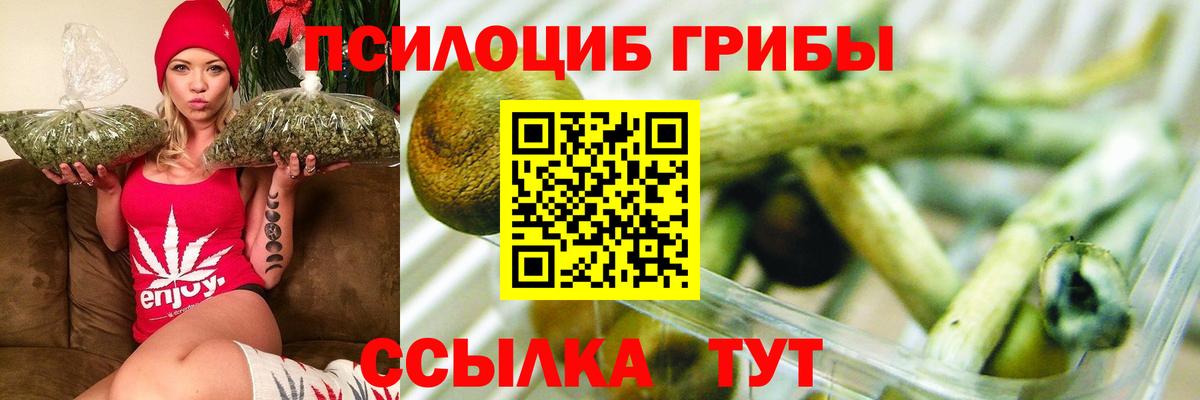 Галлюциногенные грибы прущие грибы Сертолово